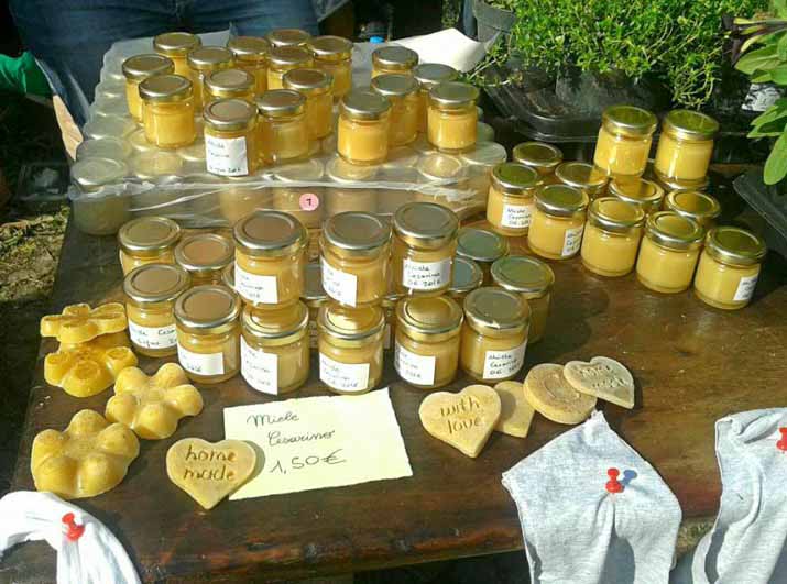 Miele prodotto dall'apiario della scuola Cesari